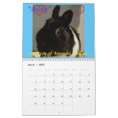 Fuzzy Bunny Rescue 2021 Kalender (Mar 2027)