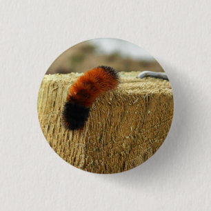Fuzzy Caterpijler Ronde Button 3,2 Cm