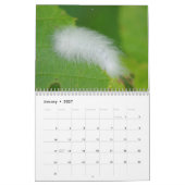 Fuzzy Caterpilars Agenda Kalender (Jan 2027)