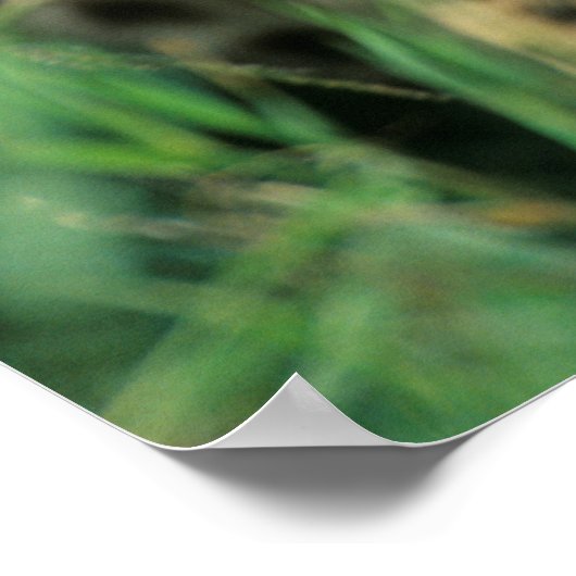 Fuzzy Cheetah Cub Poster (Hoek)