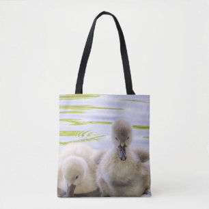 Fuzzy cygnets - tas
