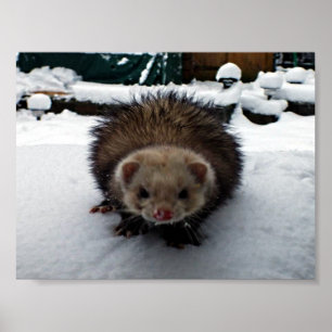 Fuzzy de Grote Poster