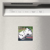 Fuzzy Dice Magneet (Insitu (Vaatwasser))