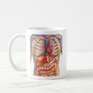 Fuzzy Express® interne organen anatomie Koffiemok