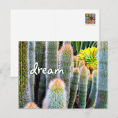 Fuzzy Green Cactus Fotografie Droomscript Vet Briefkaart (Voorkant / Achterkant)