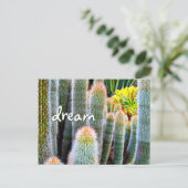 Fuzzy Green Cactus Fotografie Droomscript Vet Briefkaart (Staand voorkant)