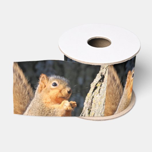 Fuzzy Grosgrain Lint (Spoel)