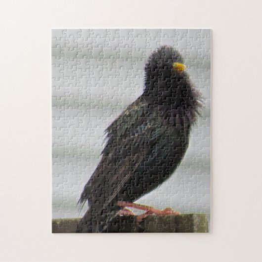 fuzzy headed bird legpuzzel (Verticaal)