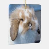 Fuzzy Holland Mini Dwarf Lop Bunny Rabbit Keramisch Ornament (Rechts)