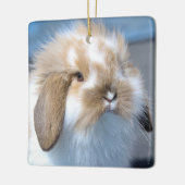 Fuzzy Holland Mini Dwarf Lop Bunny Rabbit Keramisch Ornament (Links)