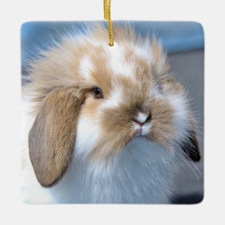 Fuzzy Holland Mini Dwarf Lop Bunny Rabbit Keramisch Ornament