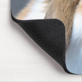 Fuzzy Holland Mini Dwarf Lop Bunny Rabbit Muismat (Hoek)