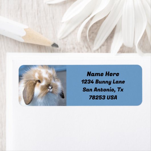 Fuzzy Holland Mini Dwarf Lop Bunny Retouradres Etiket (Insitu)