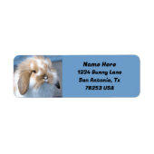 Fuzzy Holland Mini Dwarf Lop Bunny Retouradres Etiket (Voorkant)