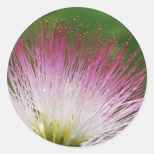Fuzzy Mimosa bloem Ronde Sticker