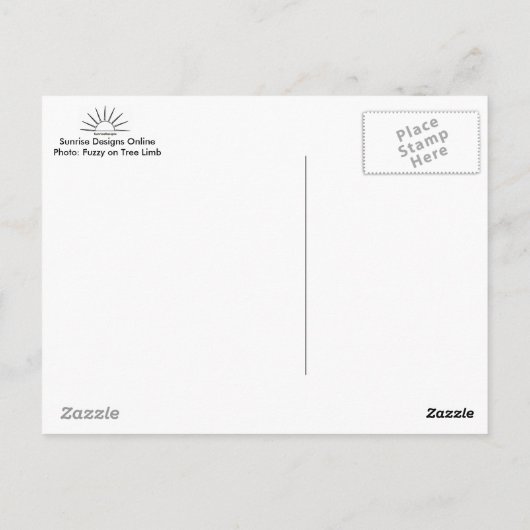 Fuzzy on Tree Limb Postcard Briefkaart (Achterkant)