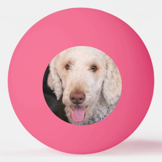 Fuzzy Pingpongballen (Voorkant)