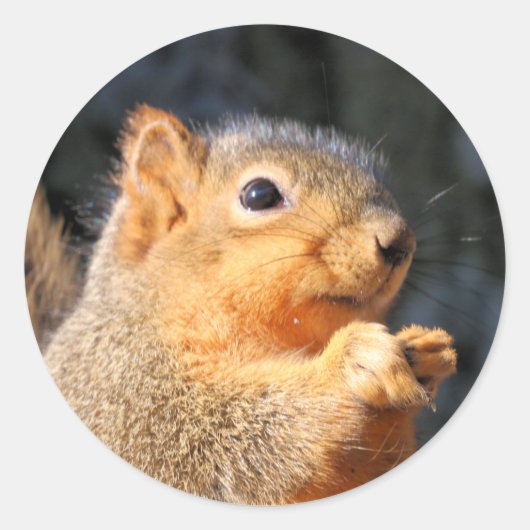 Fuzzy Ronde Sticker (Voorkant)