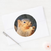 Fuzzy Ronde Sticker (Envelop)