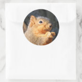 Fuzzy Ronde Sticker (Tas)