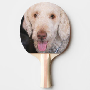 Fuzzy Tafeltennisbatje