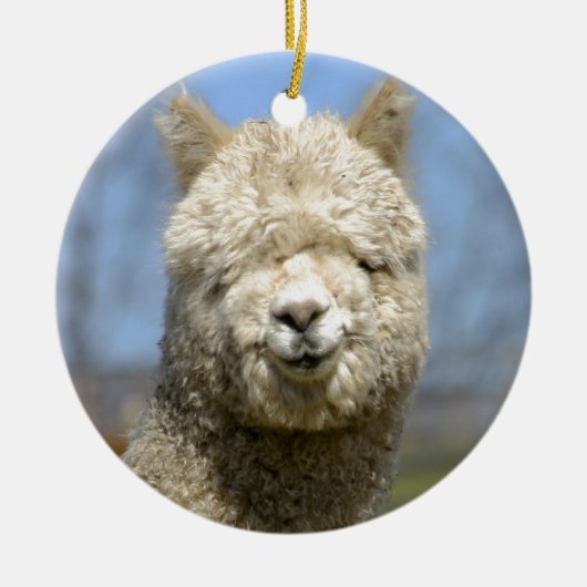 Fuzzy White Alpaca Face Keramisch Ornament (Voorkant)