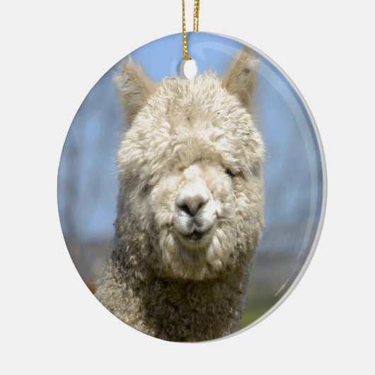 Fuzzy White Alpaca Face Keramisch Ornament (Links)