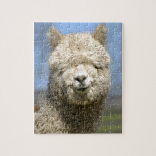 Fuzzy White Alpaca Face Legpuzzel (Verticaal)