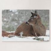 Fuzzy White Tailed Deer Fawn rustte in sneeuw Legpuzzel (Horizontaal)