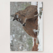 Fuzzy White Tailed Deer Fawn rustte in sneeuw Legpuzzel (Verticaal)