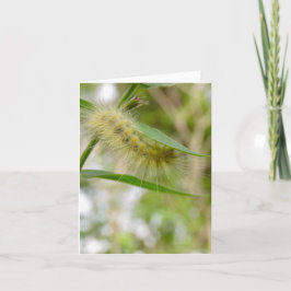 Fuzzy Yellow Caterpillar - Blank Wenskaart Kaart