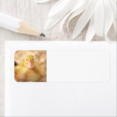 Fuzzy Yellow Duck Easter Baby Ducking Etiket (Insitu)