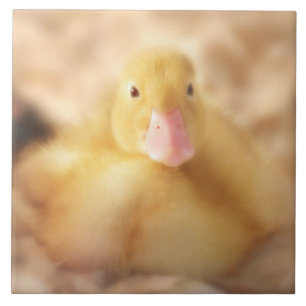 Fuzzy Yellow Duck Easter Baby Ducking Tegeltje