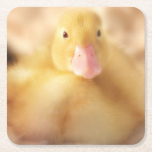 Fuzzy Yellow Duck Easter Baby Ducking Vierkante Kartonnen Onderzetter