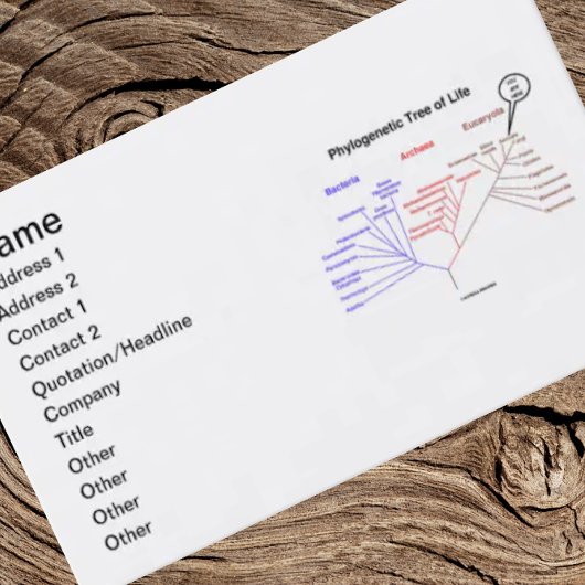 Fylogenetische boom van het leven dat je hier bent visitekaartje
