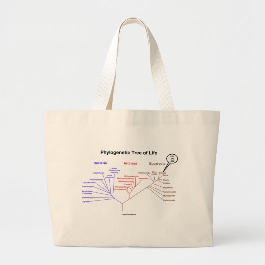 Fylogenetische boom van het leven - je bent hier ( grote tote bag (Voorkant)