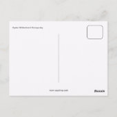 Fyodor Mikhailovich Dostoyevsky Briefkaart (Achterkant)