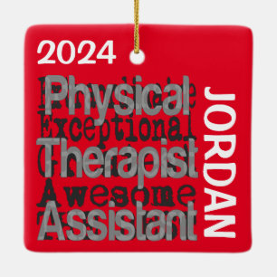 Fysieke Therapist Assistant Extraordinaire CUSTOM Keramisch Ornament
