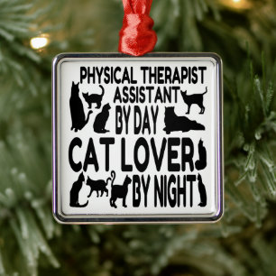 Fysieke Therapist Assistant houdt van katten Metalen Ornament