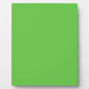 G10 vreedzame, creatieve groene kleur fotoplaat