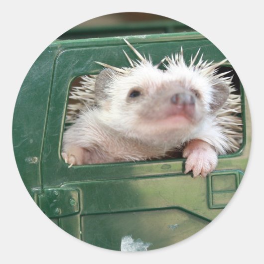 G.I. Hedgehog Ronde Sticker (Voorkant)