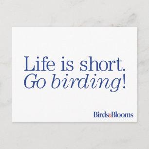 Ga Birding! Briefkaart