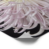 Ga daarom naar disciples poster (Hoek)