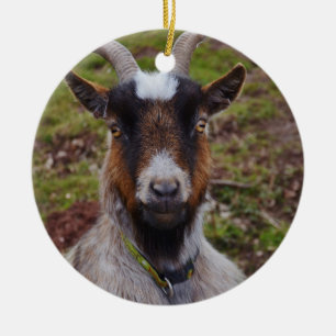 Ga dicht bij elkaar. keramisch ornament