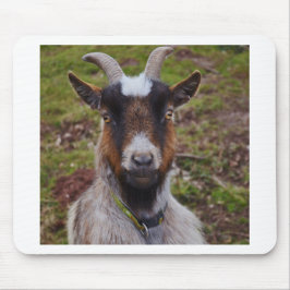 Ga dicht bij elkaar. muismat