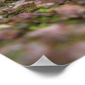 Ga gewoon door! -Frans Poster (Hoek)