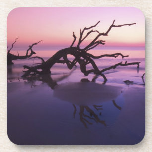 GA Jekyll Island, boomkerkhof op strand bij Bier Onderzetter