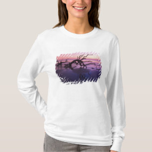 GA Jekyll Island, boomkerkhof op strand bij T-shirt