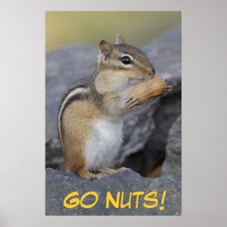 Ga maar naar Nuts. Poster
