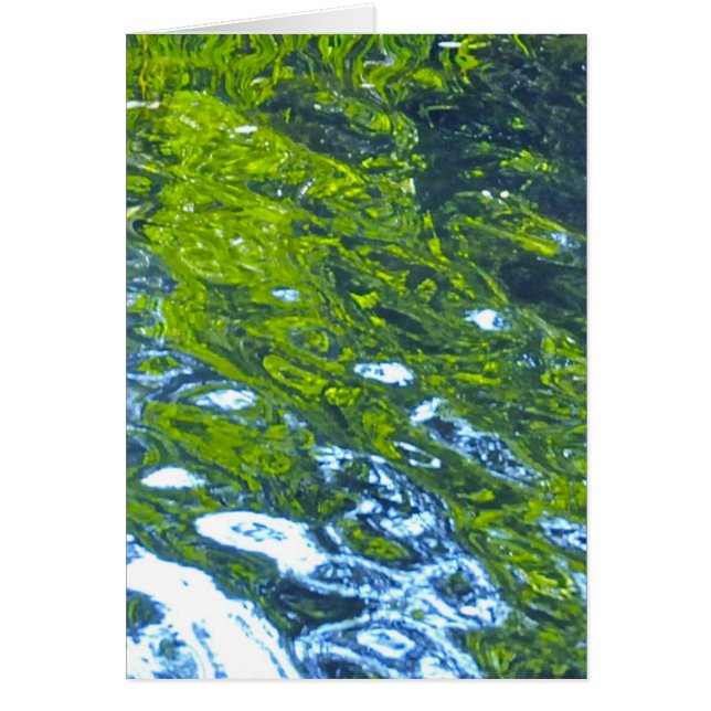 Ga met de stroom mee! (Voorkant)